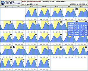 Tide Tables Charts by TIDES net