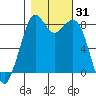 Tide chart for Whatcom Chief Ferry, Lummi, Washington on 2023/10/31