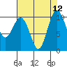 Tide chart for Shilshole Bay, Washington on 2025/08/12
