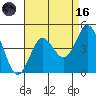 Tide chart for Point Lomo, Coronado, San Diego Bay, California on 2023/08/16