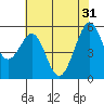 Tide chart for San Francisco Bay, San Leandro Bay, California on 2024/05/31