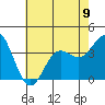 Tide chart for San Nicolas Island, California on 2024/06/9
