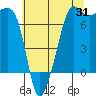 Tide chart for Anacortes Ferry, Washington on 2023/07/31