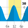 Tide chart for Thomas Landing, S. Newport River, Georgia on 2024/01/30