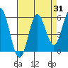Tide chart for Rogue River, Wedderburn, Oregon on 2023/08/31