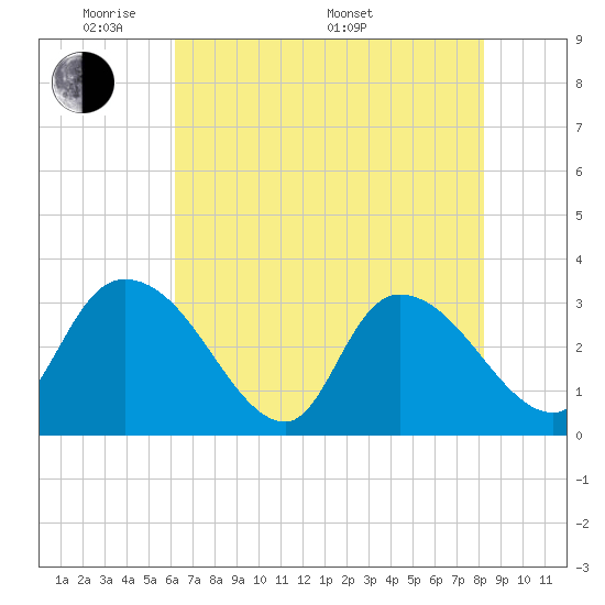 Tide chart for Windsor Plantation, Black River on 2025/05/20