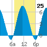 Tide chart for Wolf Island, Georgia on 2023/01/25