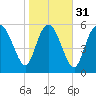 Tide chart for Wolf Island, Georgia on 2024/01/31