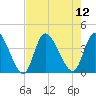 Tide chart for Captain Alex's Marina, South Carolina on 2025/08/12