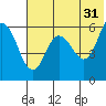Tide chart for Cold Bay, Alaska on 2023/05/31