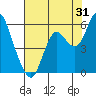 Tide chart for Carquinez Strait, Crockett, San Francisco Bay, California on 2023/07/31