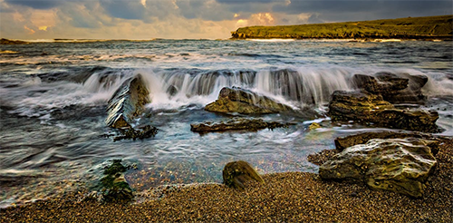 Vibrant tide pool with colorful sea anemones, starfish, and marine life along the rocky coast