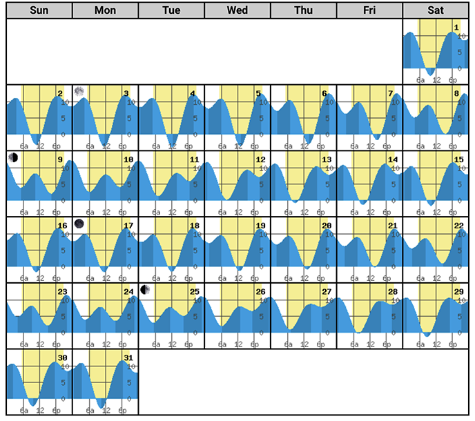 Google Calendar Tide Chart - Meara Jeannette