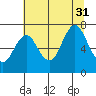 Youngs Bay tide chart for Thursday, July 31, 2025