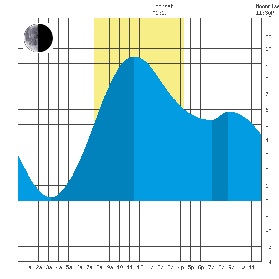 Lummi tide chart for Friday, November 22, 2024