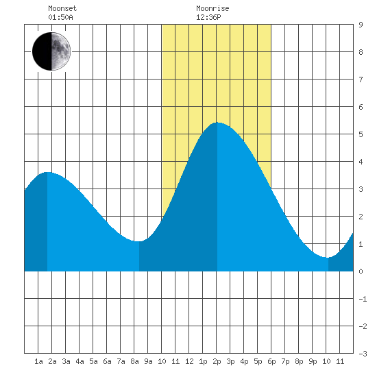 Grant Point tide chart for Wednesday, January 17, 2024