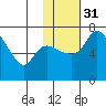 Hagemeister Island tide chart for Wednesday, January 31, 2024
