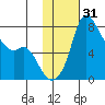 Hagemeister Island tide chart for Friday, January 31, 2025
