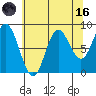 Haley Anchorage tide chart for Wednesday, August 16, 2023