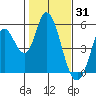 Hog Island tide chart for Saturday, January 31, 2026