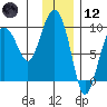 Hogg Bay tide chart for Tuesday, January 12, 2021