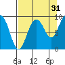 Hogg Bay tide chart for Saturday, August 31, 2024