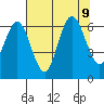 Rialto Beach tide chart for Friday, August 9, 2024