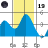 Joice Island tide chart for Wednesday, November 19, 2025