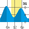 Marmot Bay tide chart for Wednesday, January 31, 2024