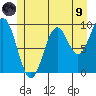 Affleck Canal tide chart for Friday, July 9, 2021