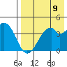 Kisselen Bay tide chart for Saturday, August 9, 2025