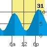 Lees Cabins tide chart for Thursday, July 31, 2025