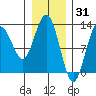 Lindenburg Head tide chart for Saturday, January 31, 2026