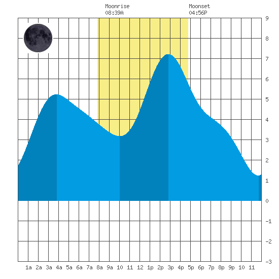 Longview tide chart for Thursday, January 11, 2024