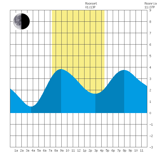 Longview tide chart for Friday, November 22, 2024