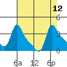 Longview tide chart for Tuesday, August 12, 2025
