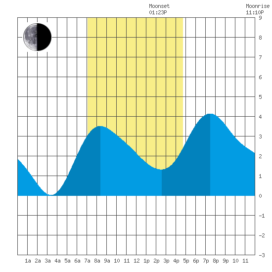 Longview tide chart for Tuesday, November 11, 2025