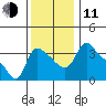 Longview tide chart for Tuesday, November 11, 2025