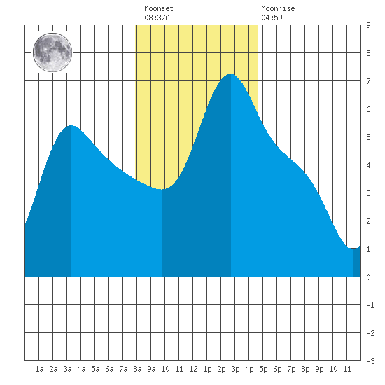 Longview tide chart for Saturday, January 3, 2026