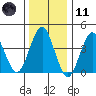 Madison tide chart for Thursday, January 11, 2024