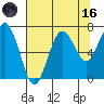 Shi Shi Beach tide chart for Wednesday, August 16, 2023