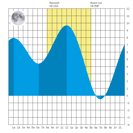 Shi Shi Beach tide chart for Thursday, January 25, 2024