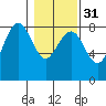 Shi Shi Beach tide chart for Wednesday, January 31, 2024