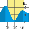 Shi Shi Beach tide chart for Sunday, March 31, 2024