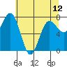 Shi Shi Beach tide chart for Sunday, May 12, 2024