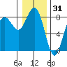 Shi Shi Beach tide chart for Tuesday, December 31, 2024