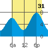 Shi Shi Beach tide chart for Thursday, July 31, 2025
