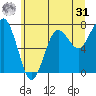 Shi Shi Beach tide chart for Sunday, May 31, 2026