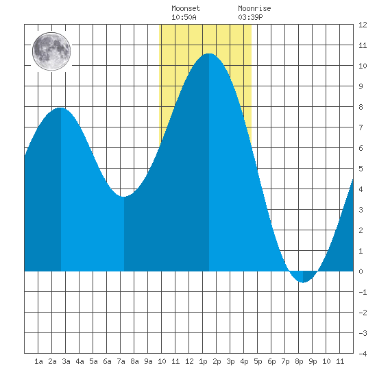 Marmot Island tide chart for Friday, January 6, 2023