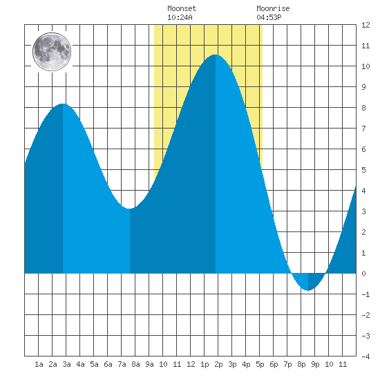 Marmot Island tide chart for Thursday, January 25, 2024